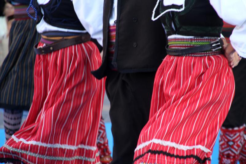 Ohranjanje kulturne srbske tradicije v Sloveniji