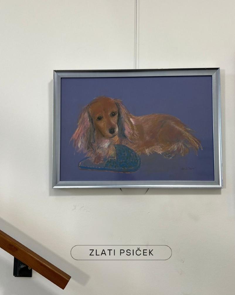 Najbolj kvalitetno okvirjanje slik Ljubljana