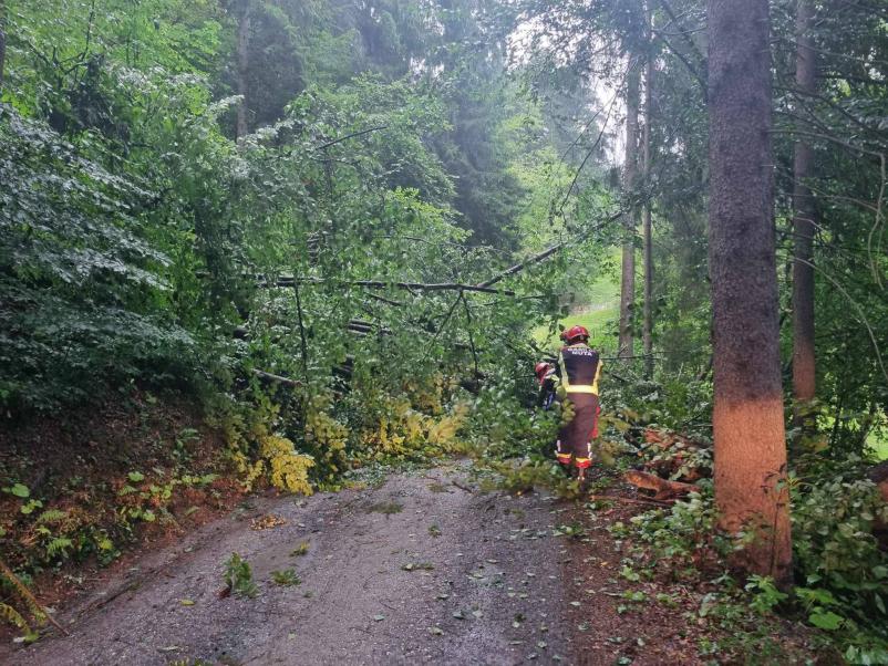 Prostovoljno gasilsko društvo Muta, Koroška, Slovenija