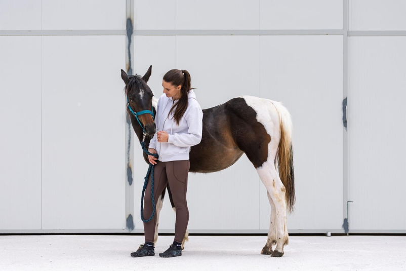 Šola jahanja na Goriškem, Slovenija