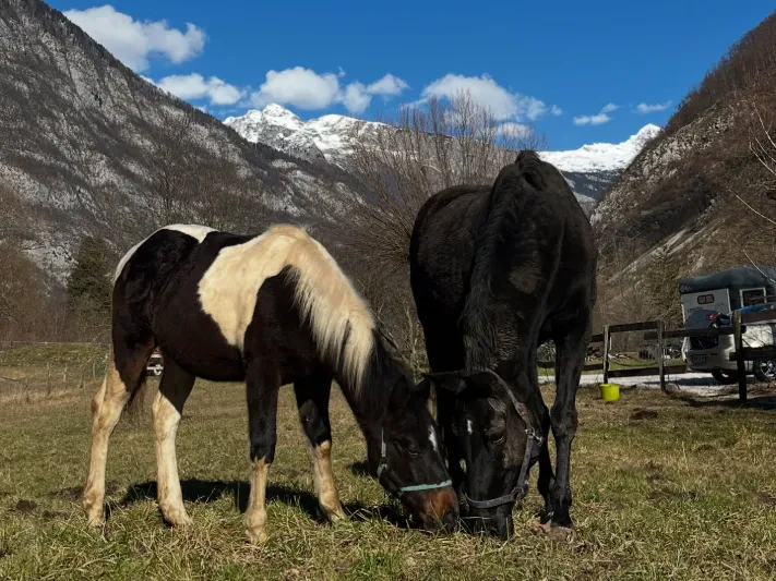 Šola jahanja Bovec