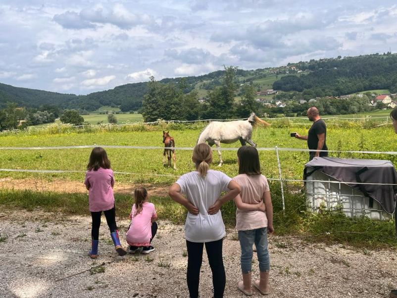 Šola jahanja za odrasle