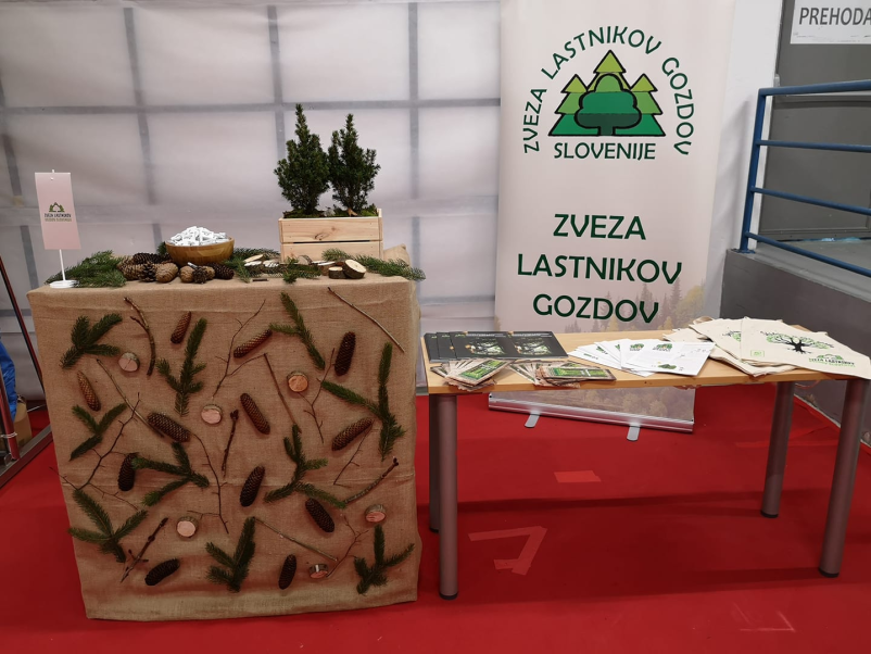 Gospodarjenje s slovenskimi zasebnimi gozdovi