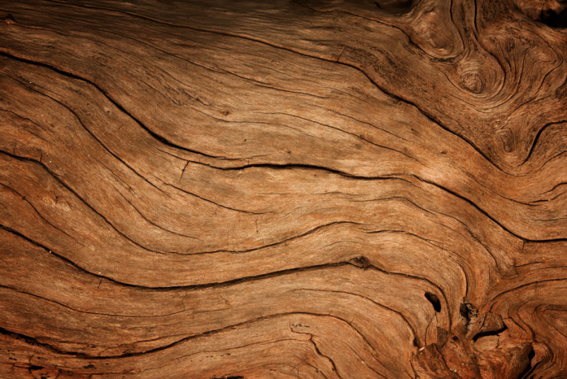Gospodarjenje z gozdovi v Sloveniji