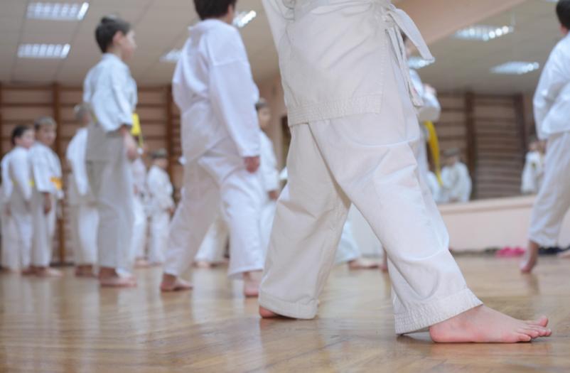 Treningi aikida za otroke Velenje, Savinjska