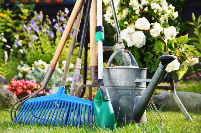 Kmetijska zadruga Lendava