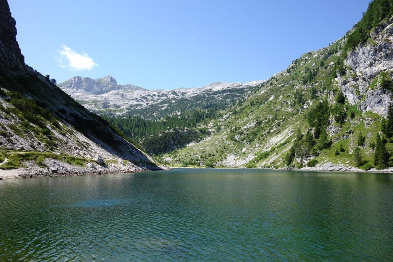 Cene apartma v dolini Trente
