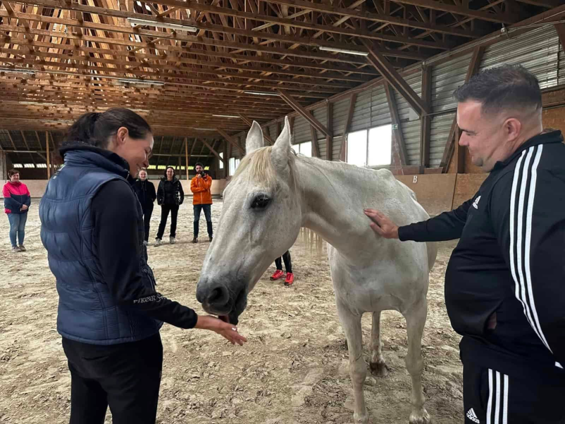 Ugodna terapija s konji Bohinj, Gorenjska