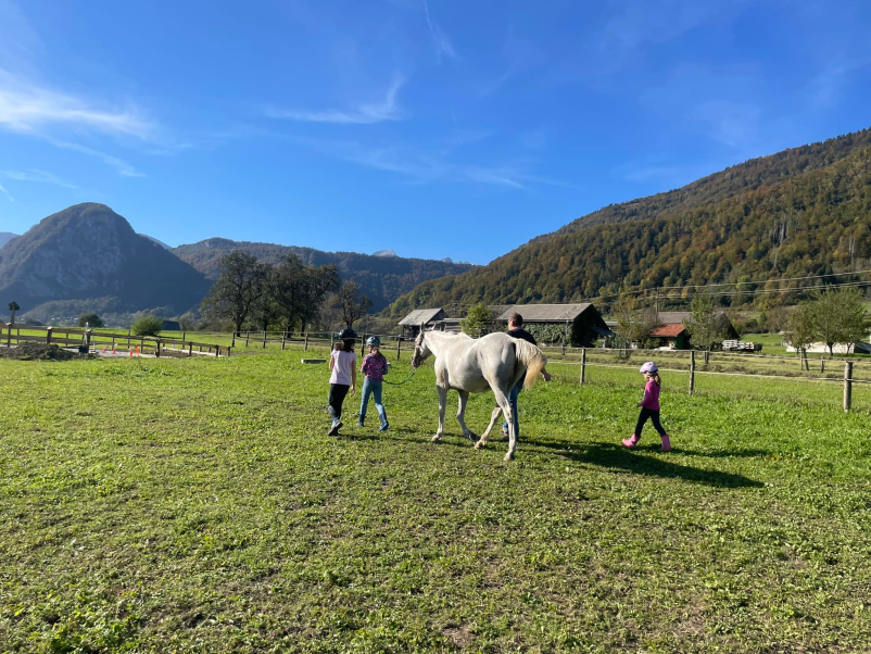 Terapija s konji Gorenjska