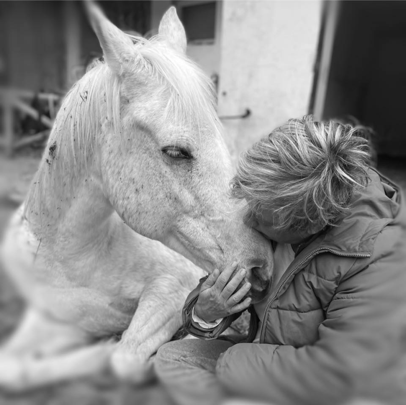 Poceni terapija s konji Gorenjska