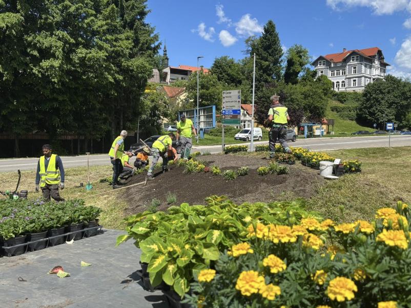 Urejanje grobov na Pokopališču Teharje, Celje