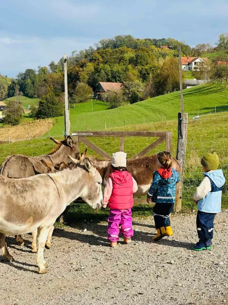 Vrtec po waldorfski pedagodiki v Mariboru