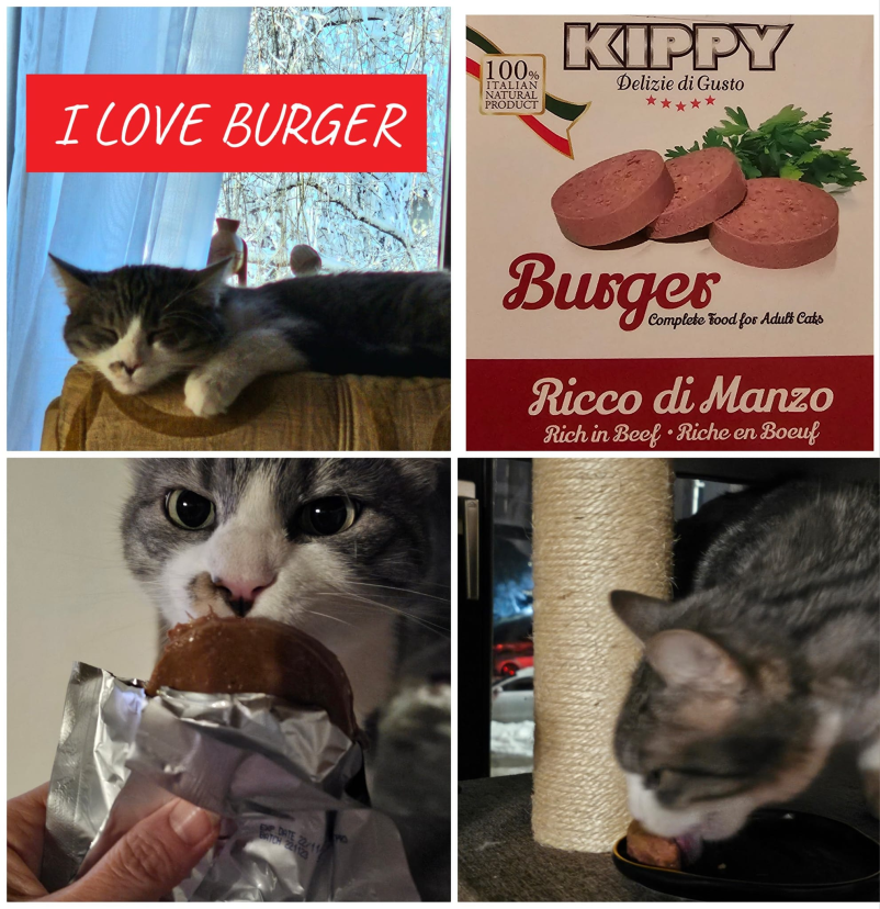 Veterina in trgovina Novo mesto, Slovenija