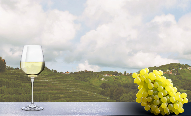 Vinska klet Podravska