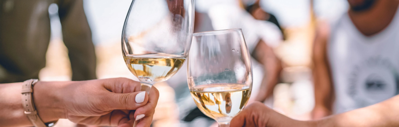 Vrhunska vina Podravska