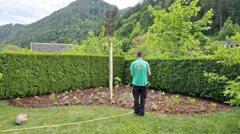 Kvalitetne vrtnarske storitve Jesenice, Gorenjska