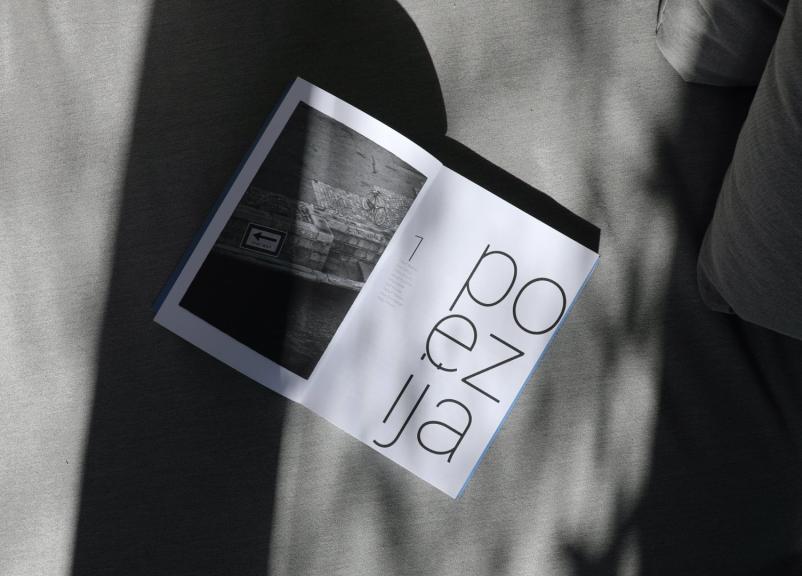 Izdaja in založništvo knjig, poezije in revije Poetikon Ljubljana, Osrednja Slovenija