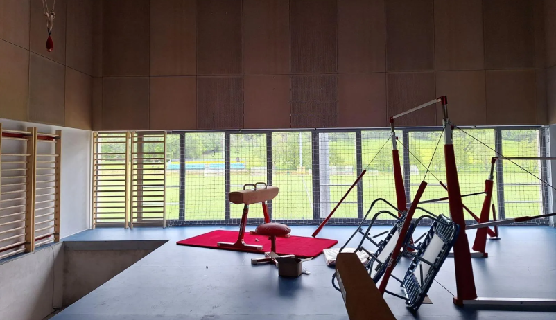 Consulting in sport Europe