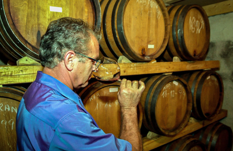 Ogled vinske kleti in degustacije vin Goriška Brda