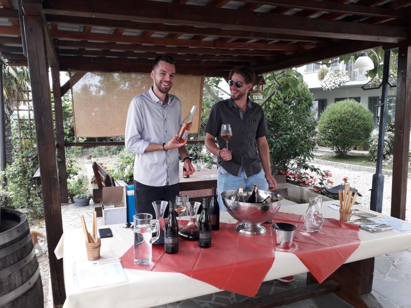 Degustacije vrhunskih vin in ogledi vinske kleti Goriška Brda