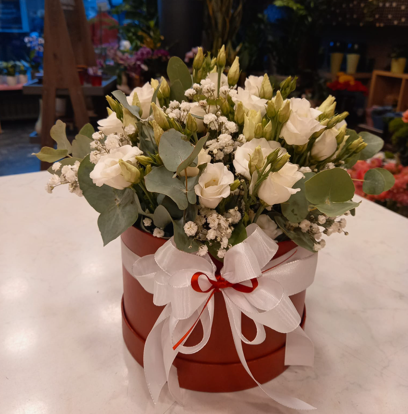 Dobra cvetličarna v Mariboru, okolici ima dobro izbiro