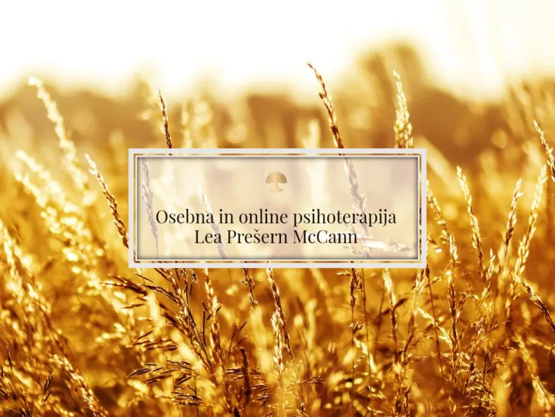 Psihoterapija