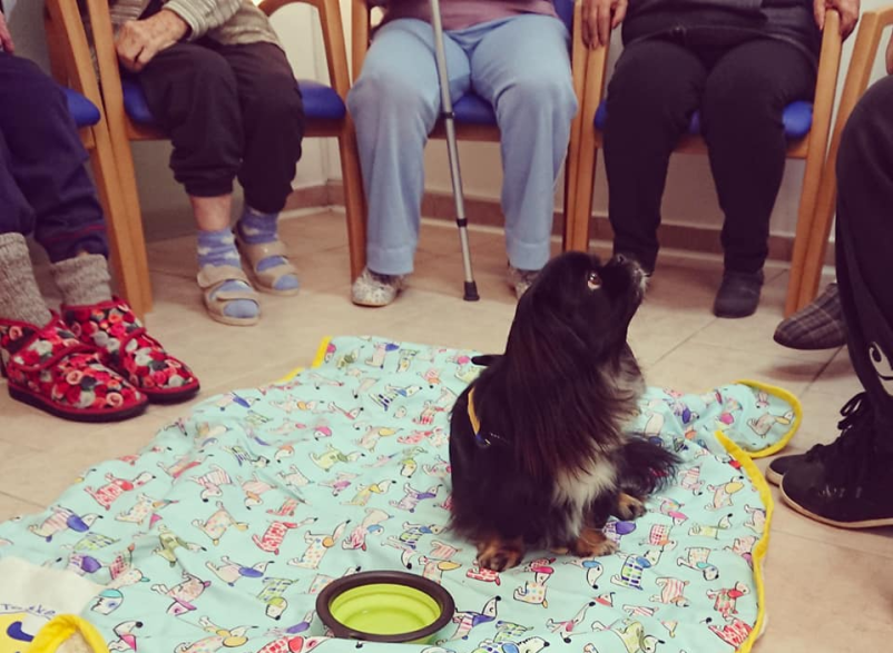 Dom starejših občanov Koper