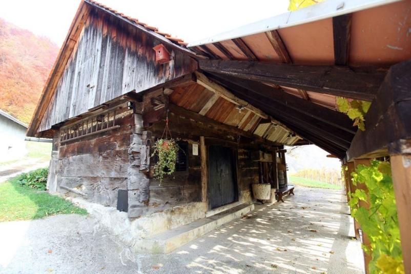 Ekološka vina Bizeljsko