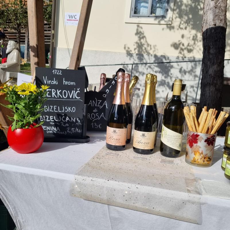 Spoznajte slovensko ekološko vino z Bizeljskega