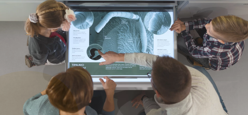 Hiša kranjske čebele Višnja Gora, Slovenija