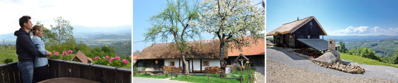 House for rent with wellness Dolenjska, Slovenia