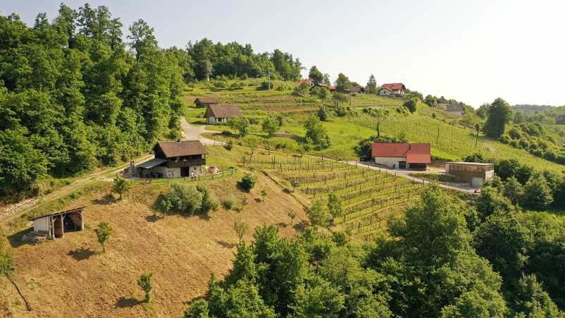 House for rent with wellness Slovenia