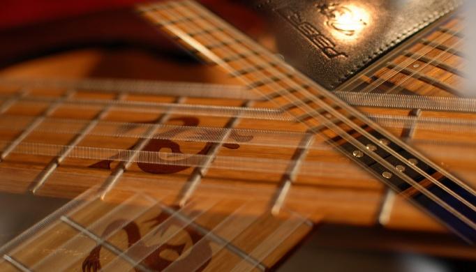 Ugodna izdelava akustičnih kitar Slovenija