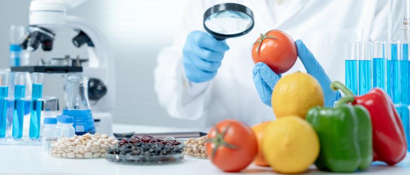 Izdelovanje HACCP sistemov in HACCP izobraževanja Bled, Gorenjska in okolica