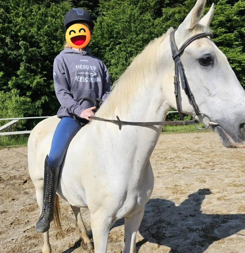 Jahanje konjev Zgornja Kungota