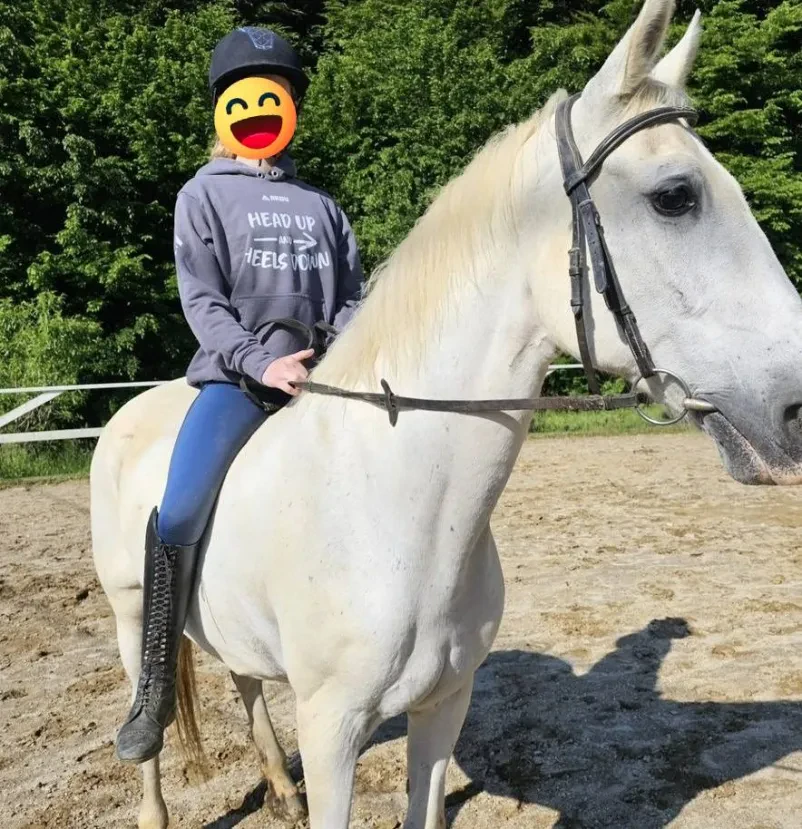 Jahanje konjev Zgornja Kungota