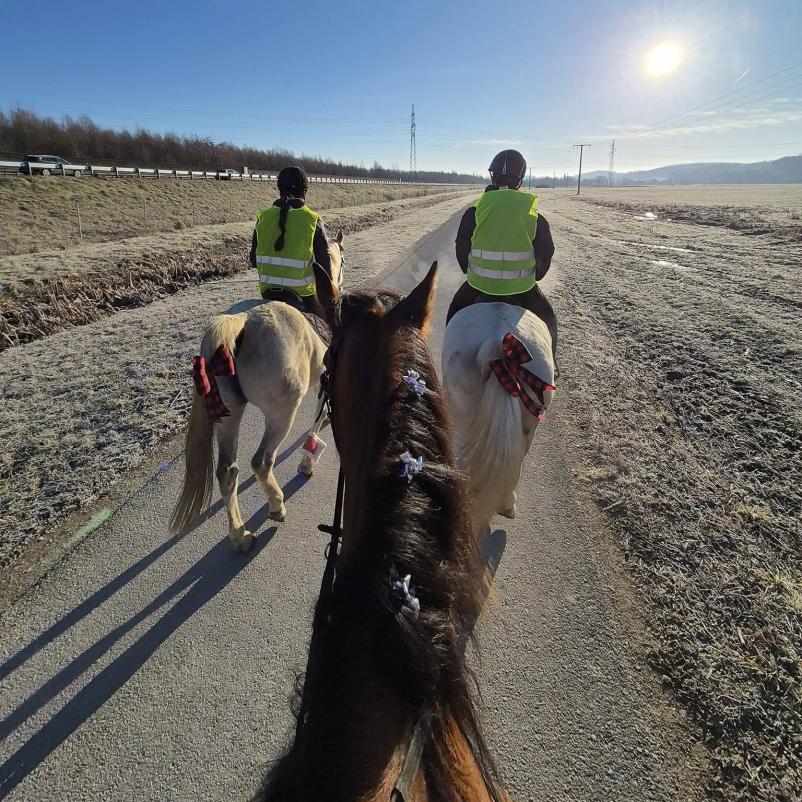 Šola jahanja v Zgornji Kungoti