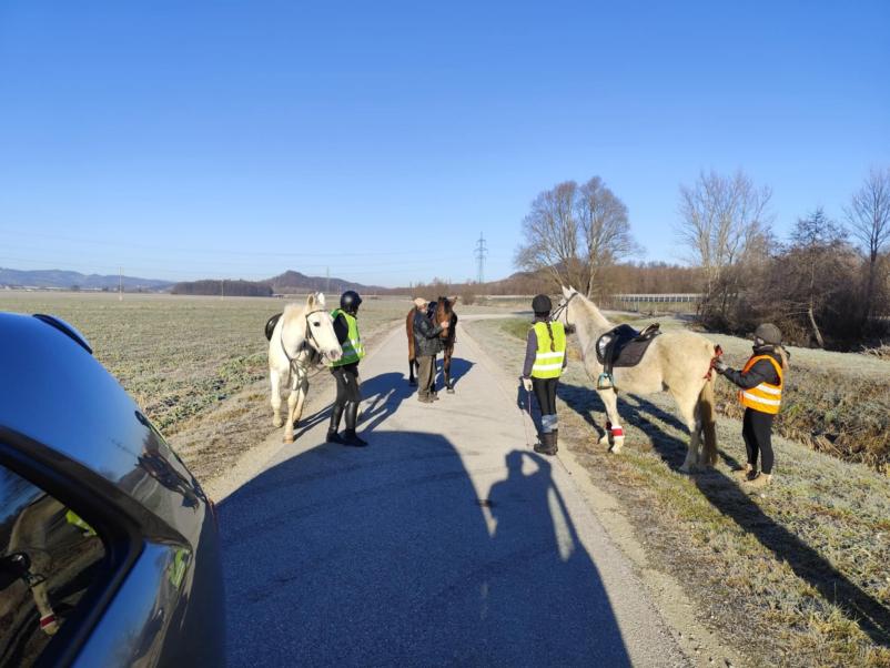 Učenje jahanja konjev Zgornja Kungota