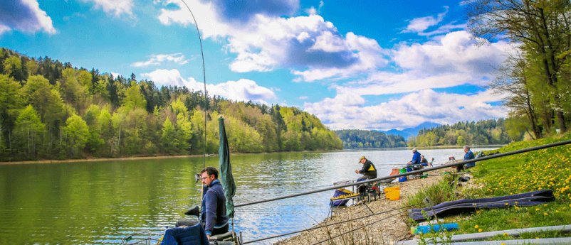 Nakup ribolovnih dovolilnic za revirje v Celju