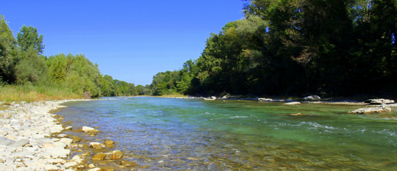 Nakup ribolovnih dovolilnic za revirje na Savinjskem
