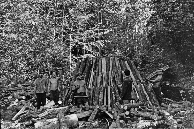 Ohranjanje oglarjenja Slovenija