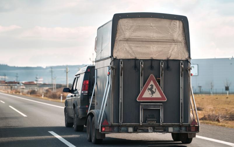 Prevoz različnih živali Slovenija