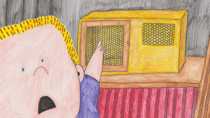 Produkcija animiranih filmov in stripov Rakek, Slovenija