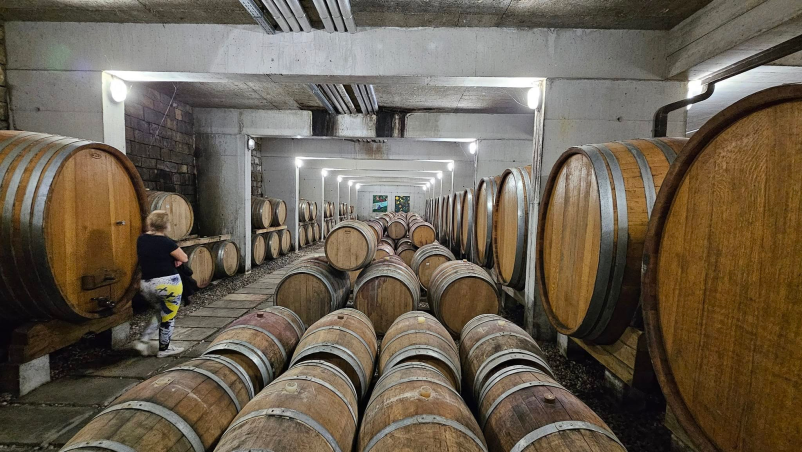 Turistično društvo Orehovec