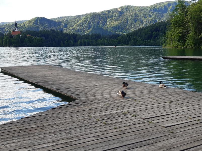 Are you looking for rooms with a breakfast near Lake Bled?