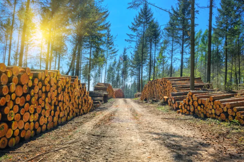 Spravilo lesa Črnomelj