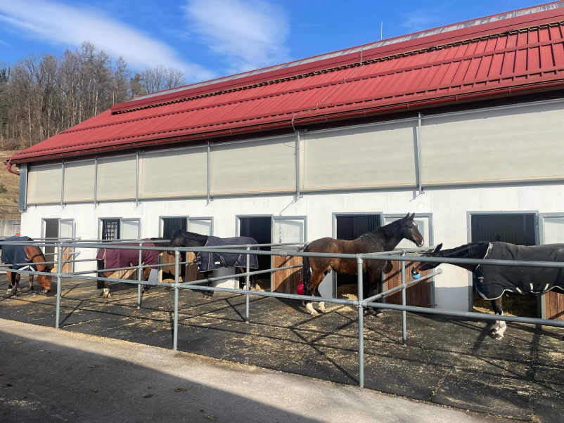 Dobra šola jahanja v Domžalah