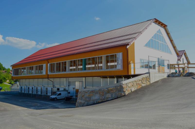 Tečaji jahanja Domžale