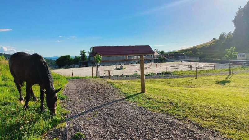 Tečaj jahanja Domžale