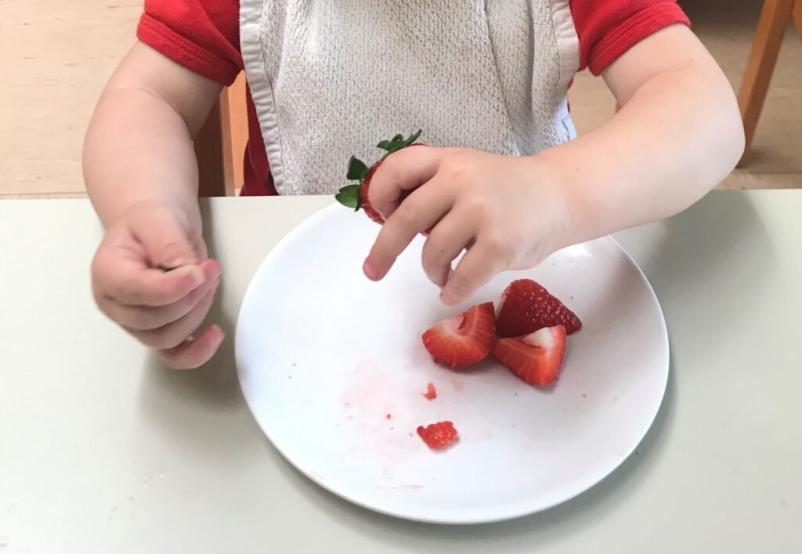 Spletni tečaj o trajnostni prehrani za vrtce in šole Slovenija